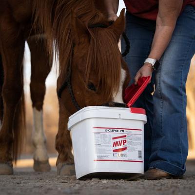Show full view: Med-Vet Pharmaceuticals (MVP) E-Clipse'PM Pellets Horse Supplement, 6-lb slide 6 of 6