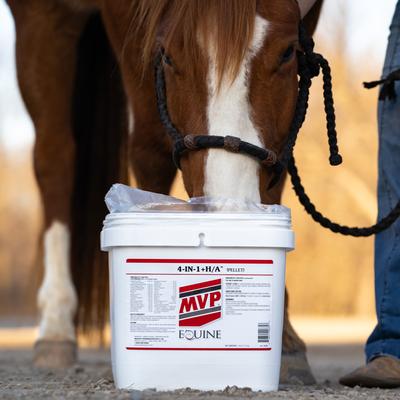 Show full view: Med-Vet Pharmaceuticals (MVP) 4-In-1 H/A Pellets Horse Supplement, 6lb slide 6 of 6