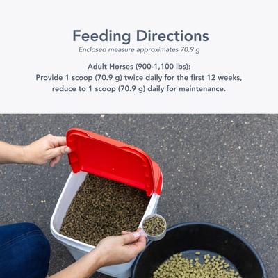 Show full view: Med-Vet Pharmaceuticals (MVP) Laminex Pellets Horse Supplement, 10-lb slide 4 of 5