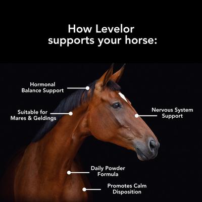 Show full view: Med-Vet Pharmaceuticals (MVP) Levelor Powder Horse Supplement, 2.65-lb slide 3 of 6