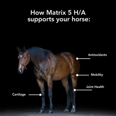 Show full view: Med-Vet Pharmaceuticals (MVP) Matrix 5 H/A Pellets Horse Supplement, 5-lb slide 3 of 6