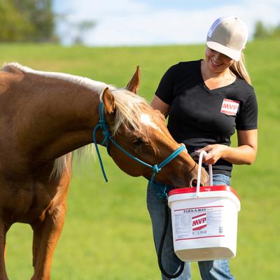 Show full view: Med-Vet Pharmaceuticals (MVP) Flies-A-Way Pellets Horse Supplement, 12-lb slide 5 of 5
