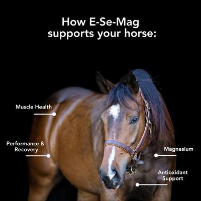 Show full view: Med-Vet Pharmaceuticals (MVP) E-Se-Mag Pellets Horse Supplement, 10-lb slide 3 of 5