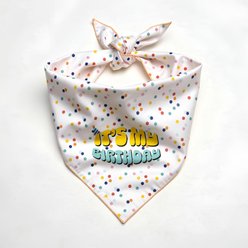CELEBRATIONS Its My Birthday Dog Bandana, X-Small/Small