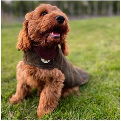 Up Country Tweed Dog Coat, Green, 21 slide 2 of 4