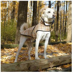 Up Country Plaid Quilted Dog Coat, Tan, 16 slide 2 of 4