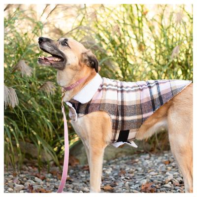 Show full view: Up Country Shacket Dog Coat, Pink, 14 slide 2 of 5