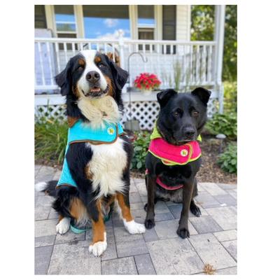 Show full view: Up Country Quilted Dog Coat, Red/Khaki, 24 slide 3 of 5