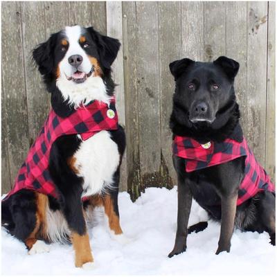 Show full view: Up Country Buffalo Check Fleeced Lined Dog Coat, Black/Red, 24 slide 2 of 5