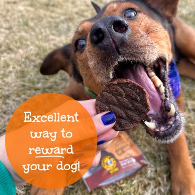 Show full view: Happy Howie's Baker's Dozen 2-in Beef Burger Dog Treats, 13 count pouch slide 7 of 11