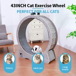 RYPetmia Indoor Interactive Exercise Wheel Cat Toy with Replaceable Runway & Safety Lock, 39.37 x 14.37 x 42.12-in, Grey slide 2 of 9