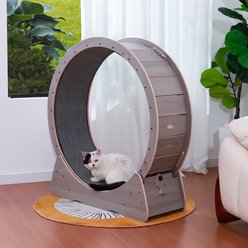 RYPetmia Indoor Interactive Exercise Wheel Cat Toy with Replaceable Runway & Safety Lock, 39.37 x 14.37 x 42.12-in, Grey