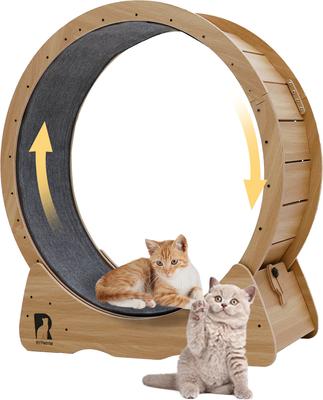 Show full view: RYPetmia Indoor Interactive Exercise Wheel Cat Toy with Replaceable Runway & Safety Lock, 39.37 x 14.37 x 42.12-in, Natural slide 4 of 9