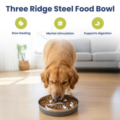 Show full view: PawsPik Stainless Steel Three-Ridge Slow Feeder Dog Bowl slide 2 of 9