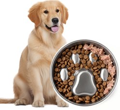 PawsPik Stainless Steel Four-Ridge Slow Feeder Dog Bowl