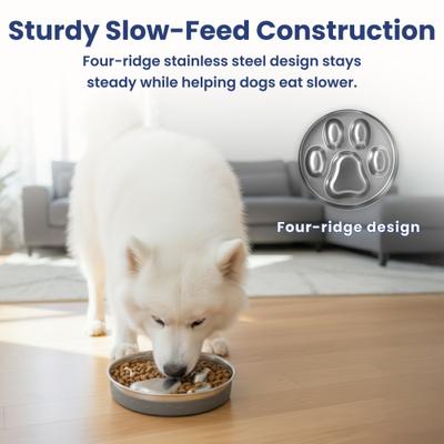 Show full view: PawsPik Stainless Steel Four-Ridge Slow Feeder Dog Bowl slide 5 of 9