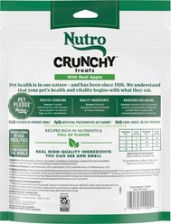 Nutro Crunchy with Real Apple Dog Treats, 16-oz bag slide 2 of 9