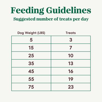 Show full view: Nutro Crunchy with Real Apple Dog Treats, 10-oz bag slide 8 of 11