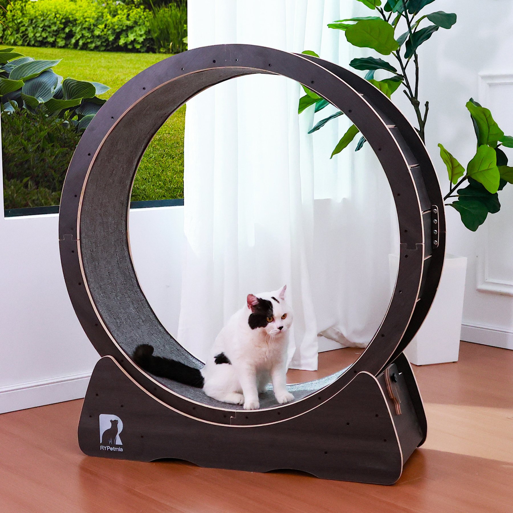 RYPetmia Indoor Interactive Exercise Wheel Cat Toy with Replaceable Runway & Safety Lock, 39.37 x 14.37 x 42.12-in, Black
