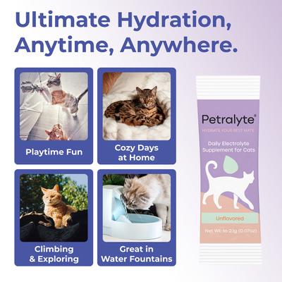 Show full view: Petralyte Unflavored Powder Electrolyte & Joint Supplement for Cats, 16 count slide 6 of 7