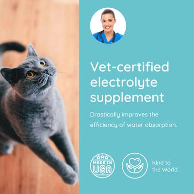 Show full view: Petralyte Chicken Flavored Powder Electrolyte & Joint Supplement for Cats, 16 count slide 5 of 7