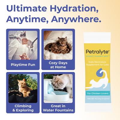 Show full view: Petralyte Chicken Flavored Powder Electrolyte & Joint Supplement for Cats, 16 count slide 6 of 7