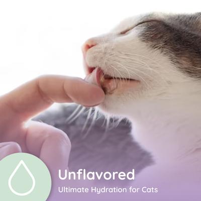 Show full view: Petralyte Unflavored Powder Electrolyte & Joint Supplement for Cats, 16 count slide 7 of 7