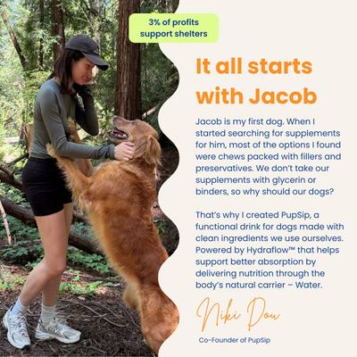 Show full view: PupSip Turkey Tail Mushroom with Low-Sodium Chicken Bone Broth Powder Digestive Support Supplement for Dogs, 12 count slide 10 of 10