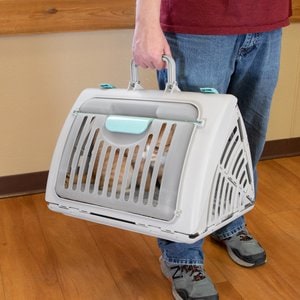 SportPet Designs Travel Master Collapsible Dog & Cat Carrier with Plush Bed, Grey & Blue, Large