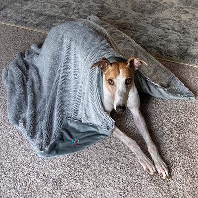 Show full view: SP Dog & Cat Blanket, Grey, Jumbo slide 8 of 10