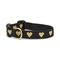 Show in main carousel: Up Country Heart of Gold Dog Collar, Black, Small: 9 to 15-in neck, 5/8-in wide slide 1 of 5