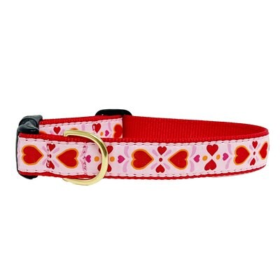 Up Country Up Country Heart to Heart Dog Collar, Medium: 12 to 18-in neck, 1-in wide