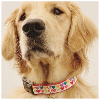 Show full view: Up Country Pop Hearts Dog Collar, X-Large: 18 to 24-in neck, 1-in wide slide 3 of 6