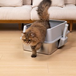 FUTAM High Sided Stainless Steel & Metal Cat Litter Box with Lid, X-Large, 2 count slide 2 of 7
