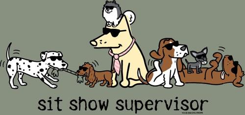 Show full view: Teddy the Dog Sit Show Supervisor Classic Tee, Seaglass, XXX-Large slide 3 of 3