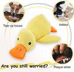 NonoPets Realistic Quack Sound Duck Plush Dog Toy, Large slide 2 of 5