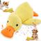 Show in main carousel: NonoPets Realistic Quack Sound Duck Plush Dog Toy, Small slide 1 of 5