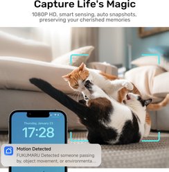 FUKUMARU Automatic Stainless Steel Cat Feeder with Rotating Camera & 5G WiFi APP Control, 4-L / 17-cup slide 2 of 8