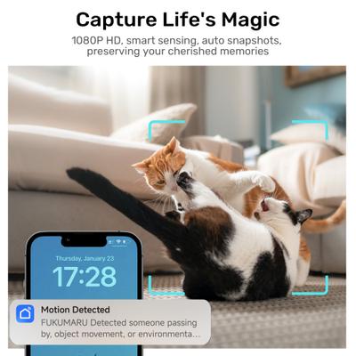 Show full view: FUKUMARU Automatic Stainless Steel Cat Feeder with Rotating Camera & 5G WiFi APP Control, 4-L / 17-cup slide 6 of 9