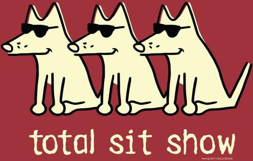 Show full view: Teddy the Dog Total Sit Show Classic Tee, Brick, X-Small slide 2 of 2