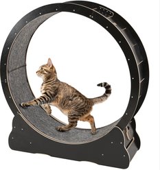YODOLLA 46-in Indoor Cat Exercise Wheel with Detachable Carpeted Runway & Lock, X-Large, Black
