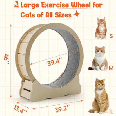 Show full view: YODOLLA 46-in Indoor Cat Exercise Wheel with Detachable Carpeted Runway & Lock, X-Large, Natural slide 4 of 8