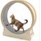 Show in main carousel: YODOLLA 46-in Indoor Cat Exercise Wheel with Detachable Carpeted Runway & Lock, X-Large, Natural slide 1 of 8