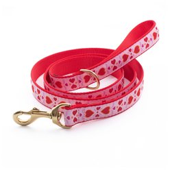 Up Country Heart to Heart Dog Leash, 5-ft long, 5/8-in wide