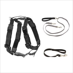 PetSafe 3-in-1 Reflective Dog Harness & Leash, Medium: 24 to 34-in chest