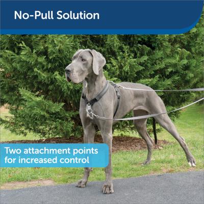 Show full view: PetSafe 3-in-1 Reflective Dog Harness & Leash, Large: 29.5 to 42.5-in chest slide 6 of 11