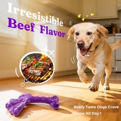 Kseroo Aggressive Chewers Beef Flavor Nylon Tough Chew Dog Toy, Green & Purple, 2 count slide 2 of 9
