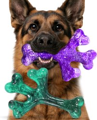 Kseroo Aggressive Chewers Beef Flavor Nylon Tough Chew Dog Toy, Green & Purple, 2 count