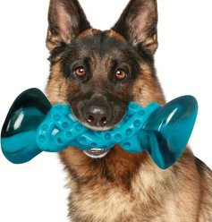 Kseroo Aggressive Chewers Bacon Flavor Nylon Tough Chew Dog Toy, Blue, 1 count