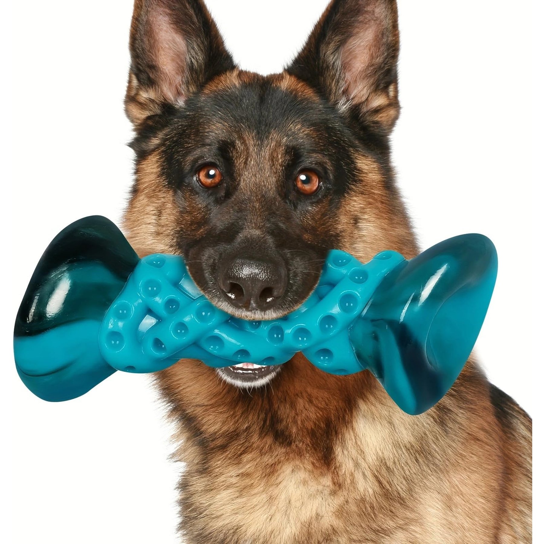 Kseroo Aggressive Chewers Bacon Flavor Nylon Tough Chew Dog Toy, Blue, 1 count